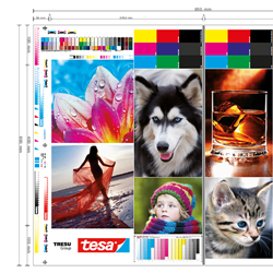 tesa Softprint® Performance Check on TRESU Flexo Innovator Press